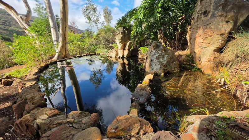 5 Bedroom Property for Sale in Piketberg Rural Western Cape